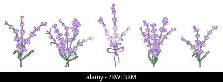 Lavendelfarbener Blumenstrauß für die Gestaltung von Karten oder Einladungen. Handgezeichnete Vektor-Illustrationen. Stock Vektor
