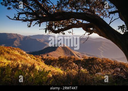 Der Blick bei Sonnenuntergang vom Gipfel des Mount Buller über den Little Buller Spur im Victorian High Country, Australien, Ozeanien Stockfoto