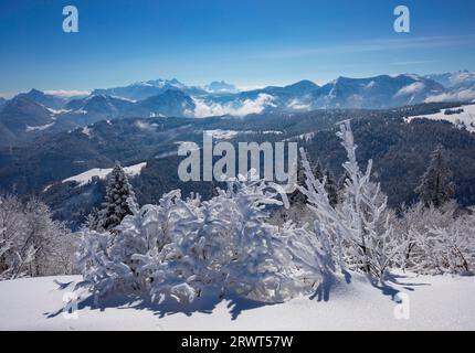 Schneebedeckte Winterlandschaft auf dem Gipfel des Zwölferhorns mit Blick auf die Osterhorngruppe, Sankt Gilgen am Wolfgangsee, Salzkammergut, Stockfoto