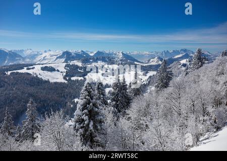 Schneebedeckte Winterlandschaft auf dem Gipfel des Zwölferhorns mit Blick auf die Osterhorngruppe, Sankt Gilgen am Wolfgangsee, Salzkammergut, Stockfoto