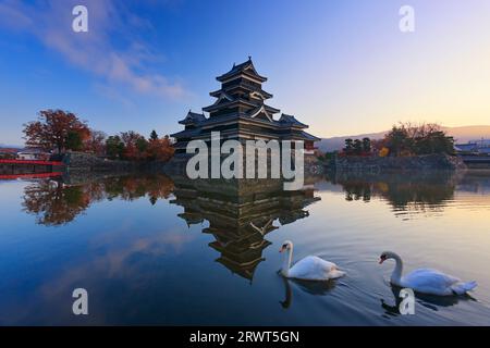 Matsumoto Castle und ein paar Schwäne am Morgen Stockfoto