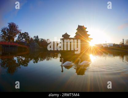 Matsumoto Castle und ein paar Schwäne am Morgen Stockfoto