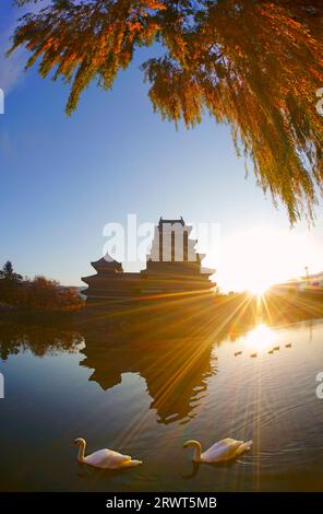 Matsumoto Castle und ein paar Schwäne am Morgen mit Herbstlaub von Weiden Stockfoto