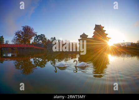 Matsumoto Castle und ein paar Schwäne am Morgen Stockfoto