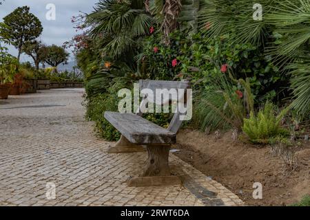 Eine alte stilvolle braune Holzbank inmitten von Grün in einem Stadtpark von Gibraltar am Hafenquay. Nahaufnahmen. Stockfoto