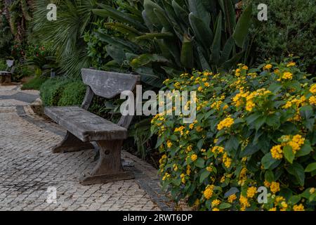 Eine alte stilvolle braune Holzbank inmitten von Grün in einem Stadtpark von Gibraltar am Hafenquay. Nahaufnahmen. Stockfoto