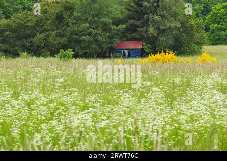 Eine Zinnhütte steht im Siegerland an der Waldaum Stockfoto