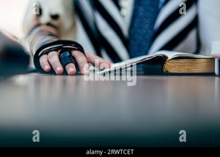 Junger Mann, der vor der Bar-Mitzwa-Feier die Thora liest. Ich trage Tefillin auf der rechten Seite. Stockfoto