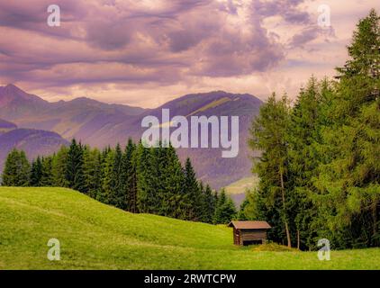 Almhütte mit hohen Bäumen und Bergen in Reith im Alpbachtal, Tirol, Österreich. Stockfoto