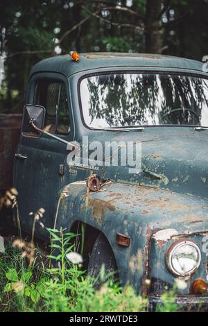 Eine vertikale eines alten Pickup-Lkws, der in einem grünen Rasenbereich geparkt ist Stockfoto