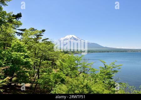 Yamanakako-See und Mt. Fuji in frischem Grün Stockfoto