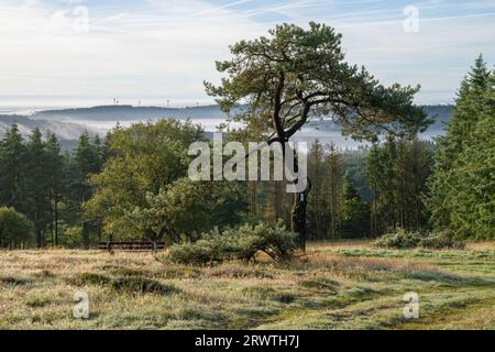 Panoramaaufnahme der Landschaft im Vulkan Eifel, Rheinland-Pfalz, Deutschland Stockfoto