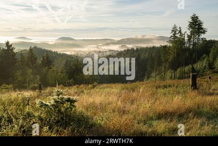 Panoramaaufnahme der Landschaft im Vulkan Eifel, Rheinland-Pfalz, Deutschland Stockfoto