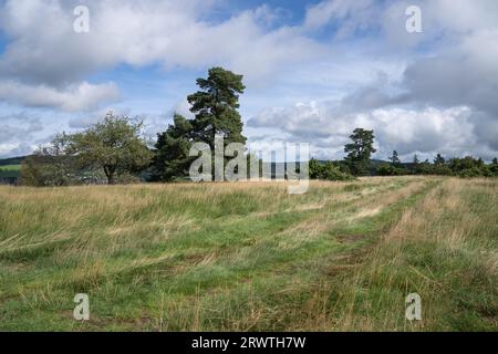 Panoramaaufnahme der Landschaft im Vulkan Eifel, Rheinland-Pfalz, Deutschland Stockfoto