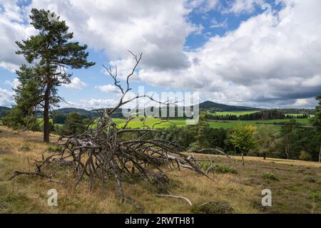 Panoramaaufnahme der Landschaft im Vulkan Eifel, Rheinland-Pfalz, Deutschland Stockfoto