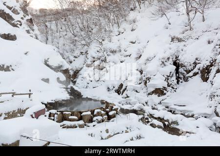 Eine heiße Quelle für Affen am frühen Morgen nach dem Schneefall Stockfoto