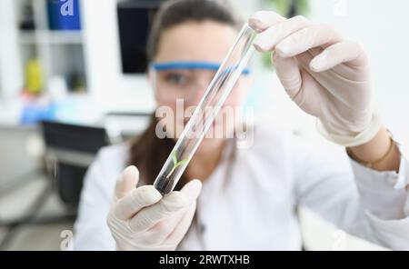 Forscher hält Flasche mit Erde und kleine Pflanze in seinem Hände Stockfoto