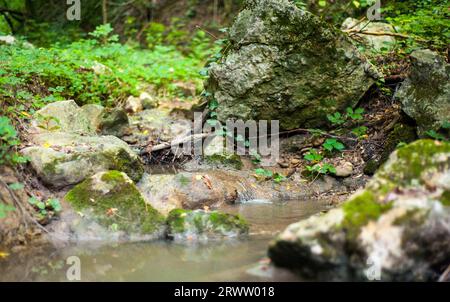 Kleiner Gebirgsbach mit Felsen im Hintergrund Stockfoto