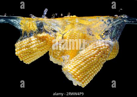 Nahaufnahme einiger geschälter und halbierter Maiskolben, die mit Spritzern auf Schwarz in Wasser geworfen wurden. Stockfoto