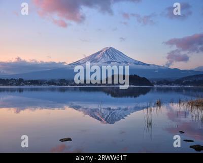 Fuji am frühen Morgen von Kawaguchiko Stockfoto