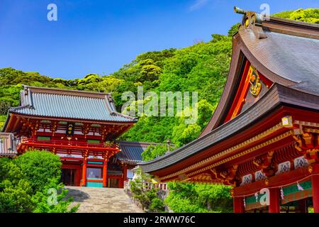 Hauptschrein und Maiten (Tanzsaal) des Tsuruoka Hachimangu-Schreins Stockfoto