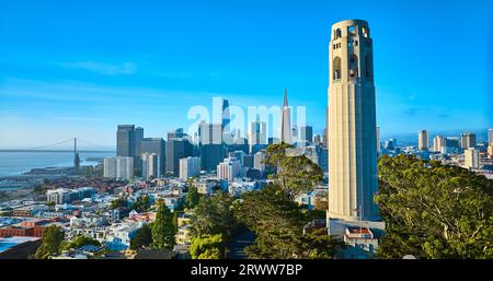 Coit Tower umgeben von Bäumen mit San Francisco Innenstadt im Hintergrund aus der Luft Stockfoto