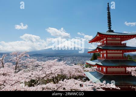 Fuji, Kirschblüten und fünfstöckige Pagode Stockfoto
