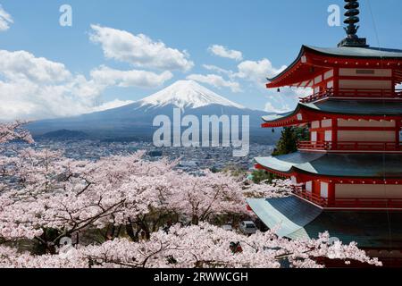 Fuji, Kirschblüten und fünfstöckige Pagode Stockfoto
