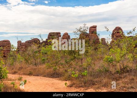 Unbefestigte Straße, die durch die „Stones City“ im Jalapao-Nationalpark in Brasilien führt Stockfoto