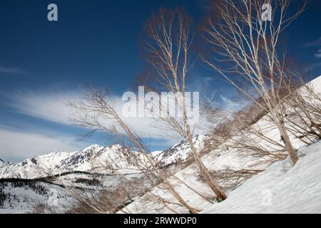 Mt. Hakuba von Tsugaike Stockfoto