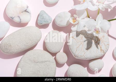 Weiße Orchidee und Steine mit Schatten auf abstraktem rosafarbenem Hintergrund, Sonnenlichter, schönes abstraktes Spa-Hintergrund-Konzeptbanner für kosmetische Körperpflege p Stockfoto