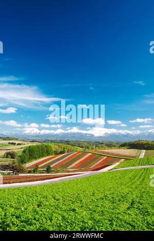 Shikisai no Oka und Tokachidake Mountain Range im Herbst Stockfoto