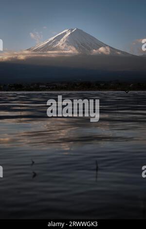 Mt. Fuji badete in der Morgensonne von Kawaguchiko Stockfoto