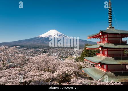 Kirschblüten, fünfstöckige Pagode und Mt. Fuji vom Niikurayama Sengen Park aus gesehen Stockfoto