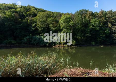 Europa, Spanien, Baskenland, Usurbil, der Oria-Fluss, vorbei an Wäldern und Ackerland Stockfoto