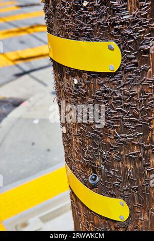 Zwei gelbe Metallbänder am Telefonpol, die mit Metallklammern bedeckt sind Stockfoto