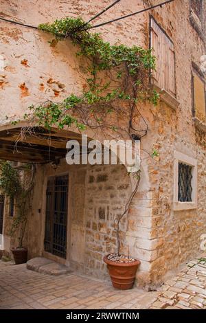 Ein schmaler überdachter Bogengang im historischen Zentrum der mittelalterlichen Küstenstadt Rovinj in Istrien, Kroatien Stockfoto