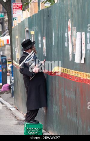 Auf einer Baustelle in Brooklyn kann sich ein orthodoxer jüdischer Mann nicht widersetzen, den laufenden Bau durch ein Loch zu betrachten. In Brooklyn, New York. Stockfoto