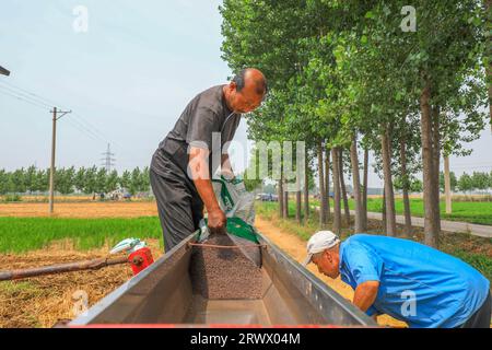 Luannan County, China - 21. Juni 2023: Landwirte fügen dem Sägerät in Nordchina Verbunddünger hinzu Stockfoto