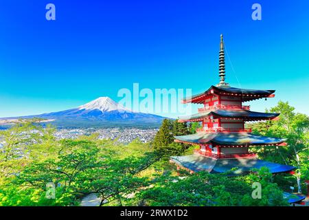 Mt. Fuji mit frischem Grün und Schnee auf der fünfstöckigen Pagode vom Niikurayama Sengen Park Stockfoto