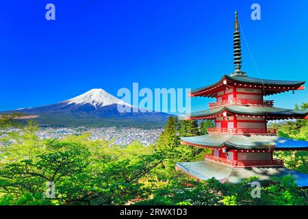 Mt. Fuji mit frischem Grün und Schnee auf der fünfstöckigen Pagode vom Niikurayama Sengen Park Stockfoto