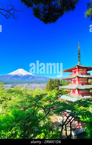 Mt. Fuji mit frischem Grün und Schnee auf der fünfstöckigen Pagode vom Niikurayama Sengen Park Stockfoto