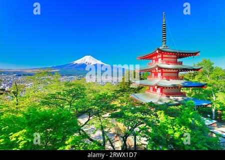 Mt. Fuji mit frischem Grün und Schnee auf der fünfstöckigen Pagode vom Niikurayama Sengen Park Stockfoto