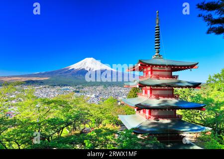 Mt. Fuji mit frischem Grün und Schnee auf der fünfstöckigen Pagode vom Niikurayama Sengen Park Stockfoto