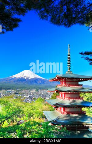 Mt. Fuji mit frischem Grün und Schnee auf der fünfstöckigen Pagode vom Niikurayama Sengen Park Stockfoto