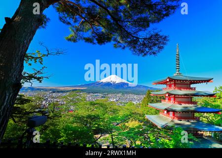 Fünfstöckige Pagode, Kiefern und schneebedeckter Mt. Fuji vom Niikurayama Sengen Park Stockfoto