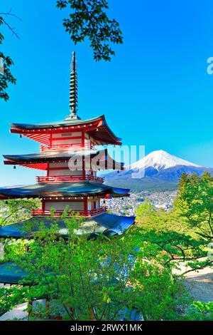 Mt. Fuji mit frischem Grün und Schnee auf der fünfstöckigen Pagode vom Niikurayama Sengen Park Stockfoto