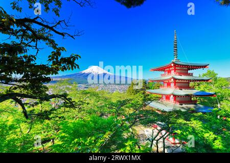 Mt. Fuji mit frischem Grün und Schnee auf der fünfstöckigen Pagode vom Niikurayama Sengen Park Stockfoto