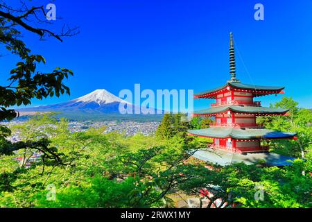 Mt. Fuji with fresh greenery and snow on the five-story pagoda from Niikurayama Sengen Park Stock Photo