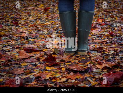 Die Beine einer Person in Wellington Boots, die auf gefallenen Herbstblättern steht Stockfoto
